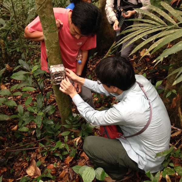 Camera trap monitoring training at Mount Makiling Forest reserve.