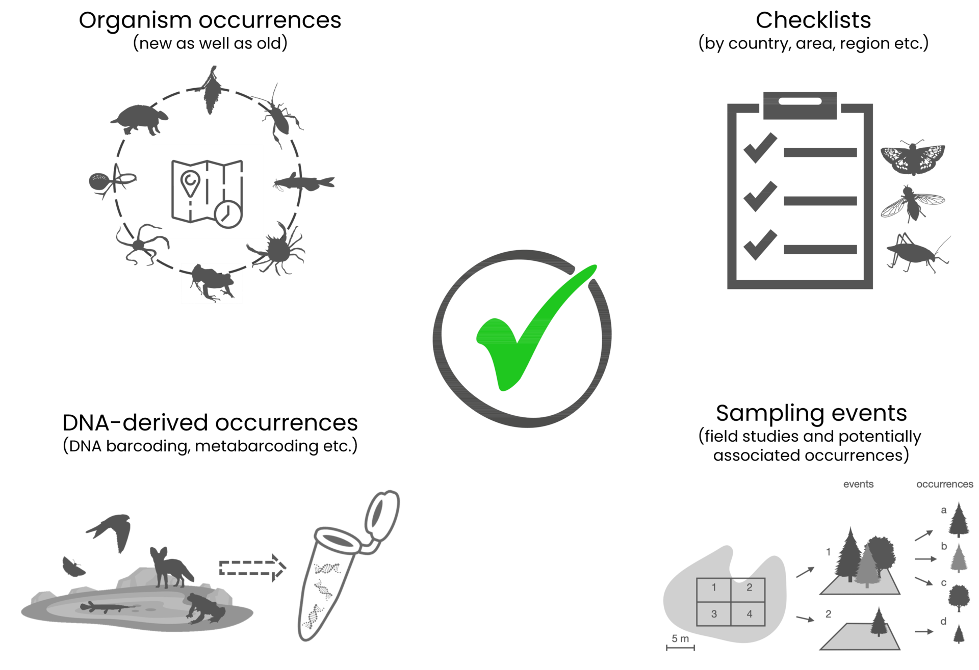 Checklist, occurrence or sampling event type data illustration