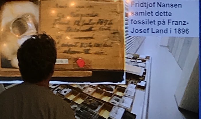 natural history