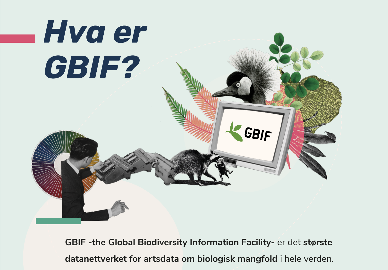 OpenPSD Norwegian leaflet screenshot